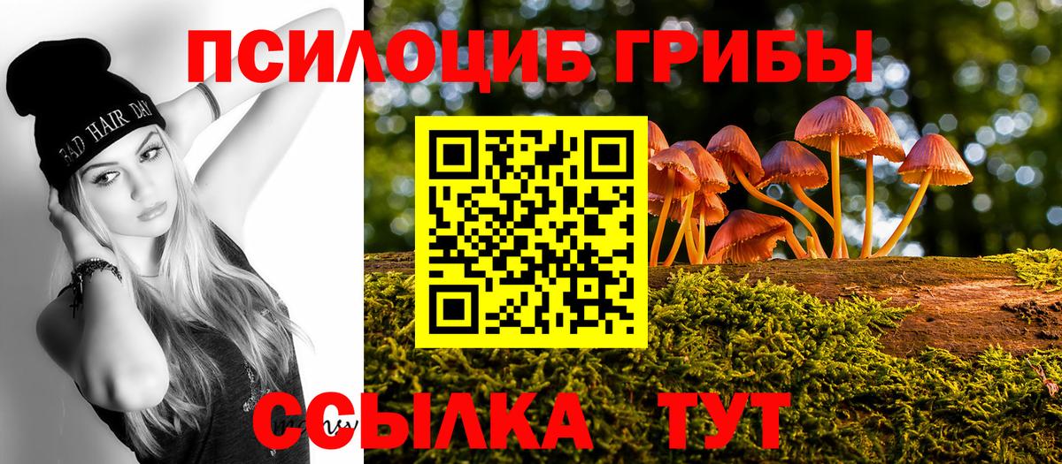Новочеркасск  Галлюциногенные грибы Psilocybine cubensis  Вход с VPN  Псилоцибиновые грибы прущие грибы 